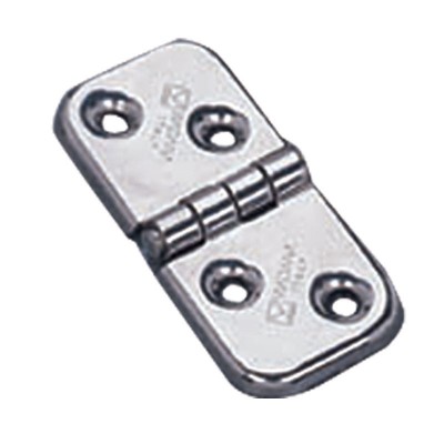 Hinge, Inox 316 Hinges