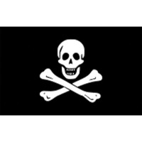 Pirate's Flag Flags & Accessories