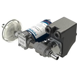 Automatic Pressure Pump Suitable for Fresh & Salt Water General Use Pumps