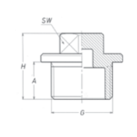 Male Plug, BSPT, Brass Brass Fittings