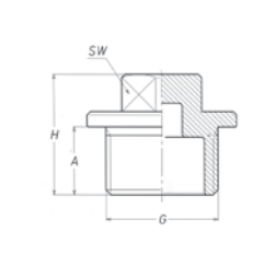 Male Plug, BSPT, Brass Brass Fittings