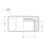 Female Plug, BSPP, Brass Brass Fittings