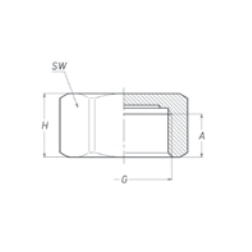 Female Plug, BSPP, Brass Brass Fittings